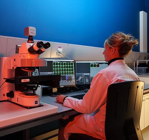 Research fields